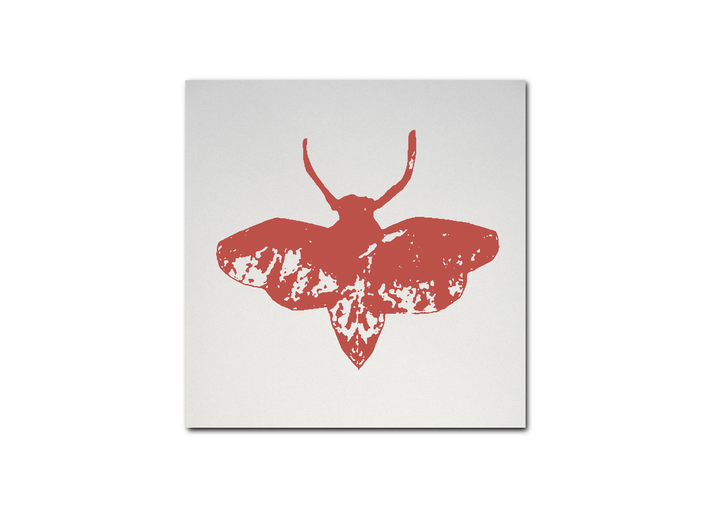 Everything Matters, Nothing Matters (Limited Red LP) PREORDER